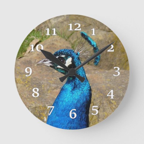 Peacock Wall Clock