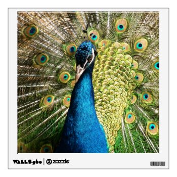 Peacock Wall Decal by Wonderful12345 at Zazzle