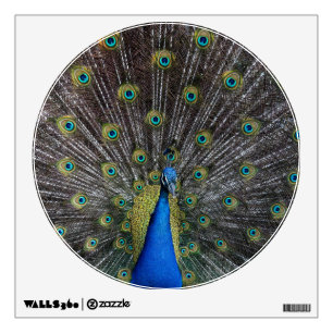 peacock wall sticker