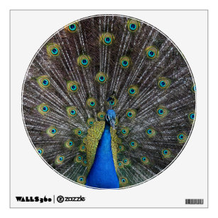 peacock wall sticker