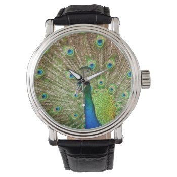Peacock Watch by PixLifeBirds at Zazzle