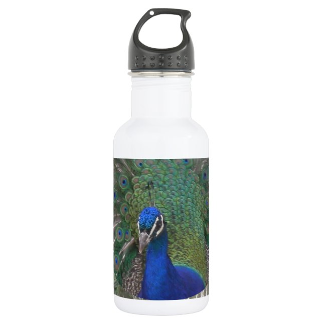 Peacock Water Bottle (Front)