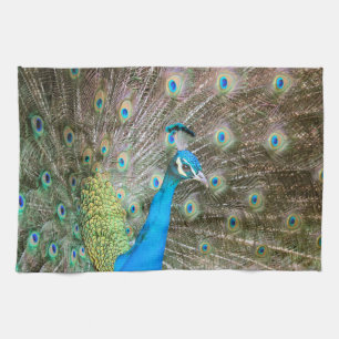 Peacock with Feathers Fanned - Wildlife Bird Photo Kitchen Towel