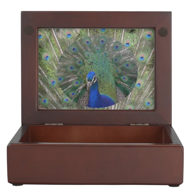 Peacock with feathers Keepsake Box (Opened)