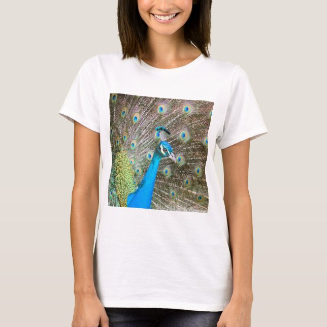 Peacock with Feathers Out - Male Bird - Photograph T-Shirt (Front)