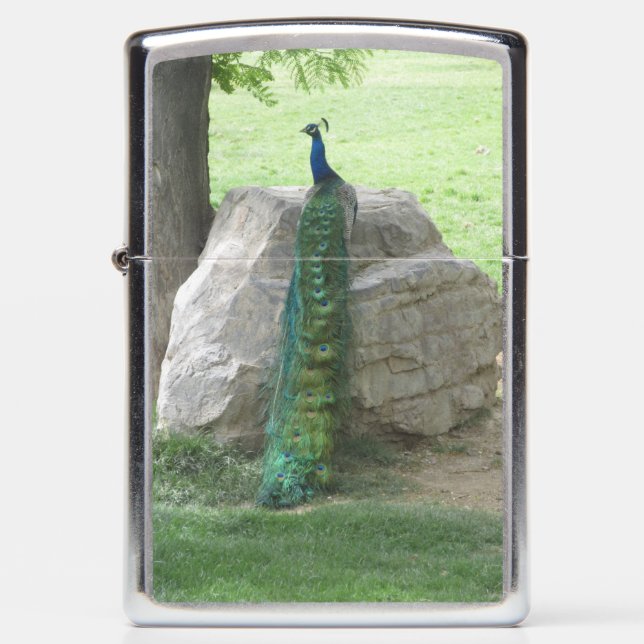 Peacock Zippo Lighter (Front)
