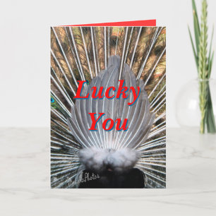 Peacockbutt card2-customize any occasion card