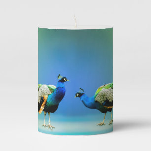Peacocks Banner Pillar Candle