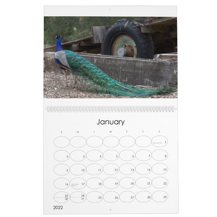 Peacocks Calendar