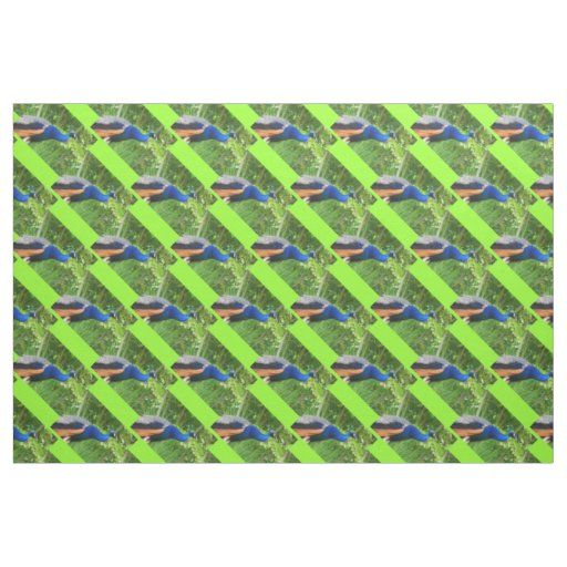 Peacocks Fabric