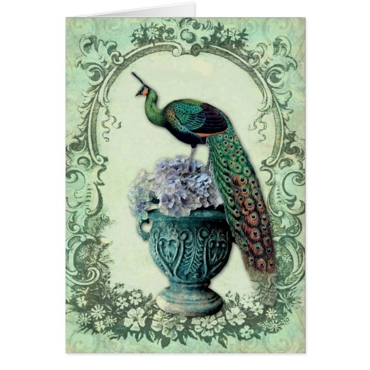 Peacocks Hydrangea Urn Cards (Front)