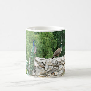 Peacocks in a garden photo Mug