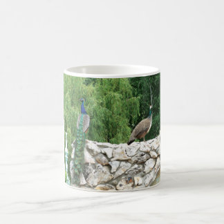 Peacocks in a garden photo Mug