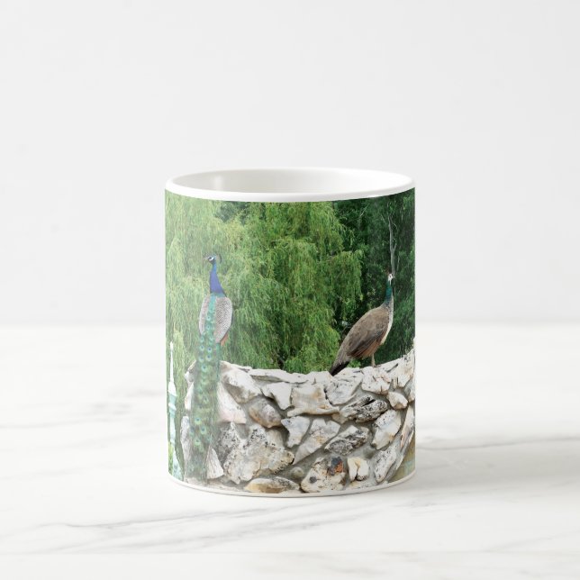 Peacocks in a garden photo Mug (Center)