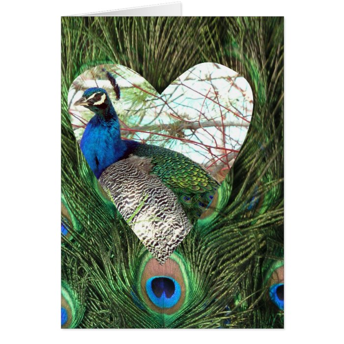 Peacocks in a Heart Card