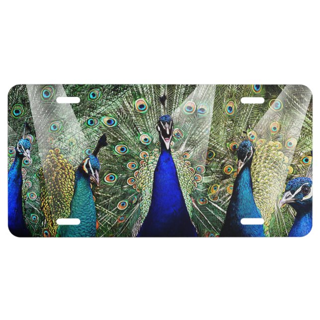 Peacocks License Plate (Front)