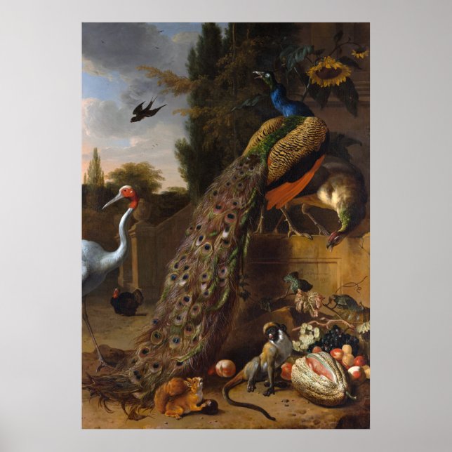 Peacocks - Melchior d' Hondecoeter Poster (Front)