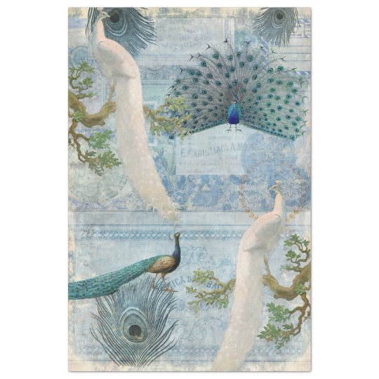 Peacocks n Feathers White Blue Craft Decoupage Tissue Paper | Zazzle.com