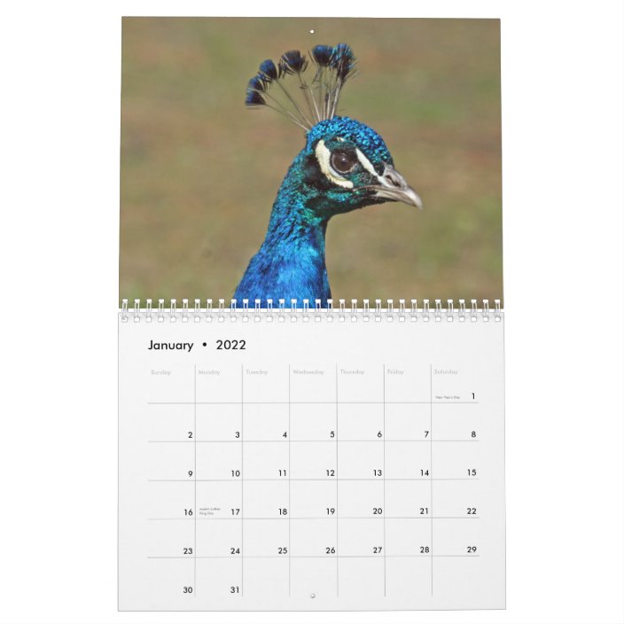 Coming To Peacock May 2024 Calendar Kanya Zitella