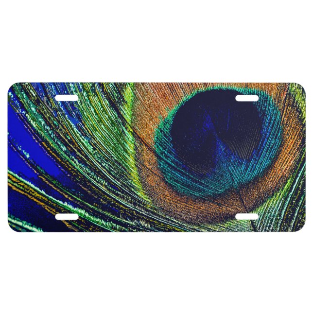 Peacocok Feather Bohemian License Plate (Front)