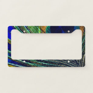 Peacocok Feather Bohemian License Plate Frame