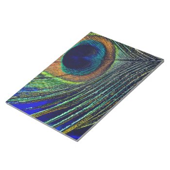 Peacocok Feather Bohemian Notepad by EveyArtStore at Zazzle