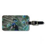 Peafowl Bird Luggage Tag