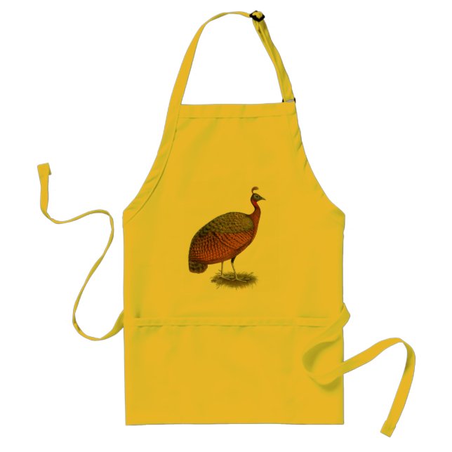 Peafowl:  Congo Peahen Adult Apron (Front)