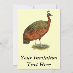 Peafowl: Congo Peahen Invitation