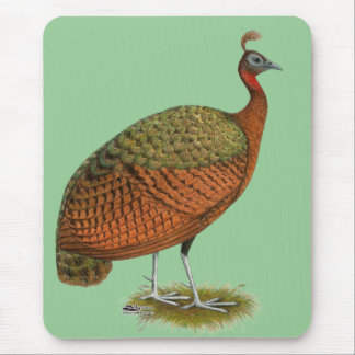 Peafowl:  Congo Peahen Mouse Pad