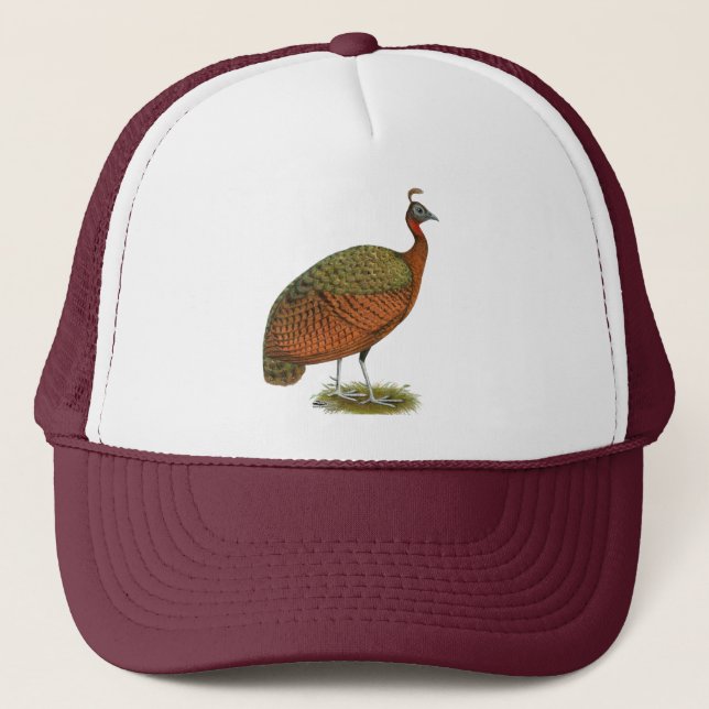 Peafowl:  Congo Peahen Trucker Hat (Front)