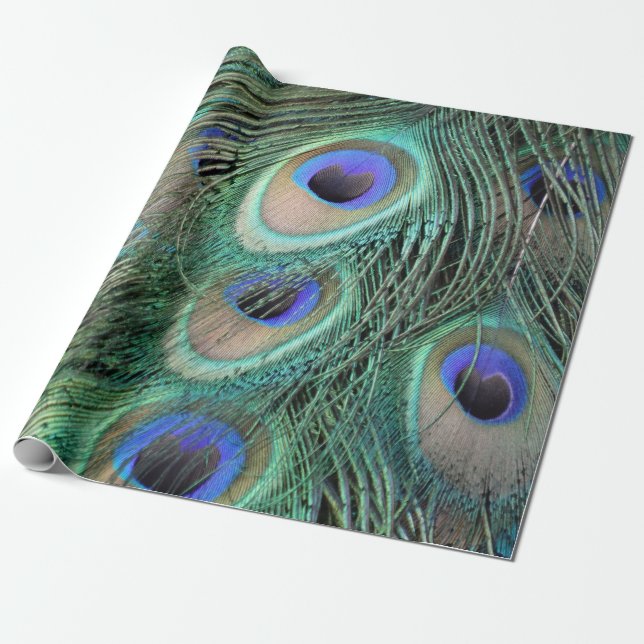 Peafowl Feathers Large Blue Eyes Wrapping Paper (Unrolled)