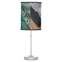 peafowl feathers small eyes