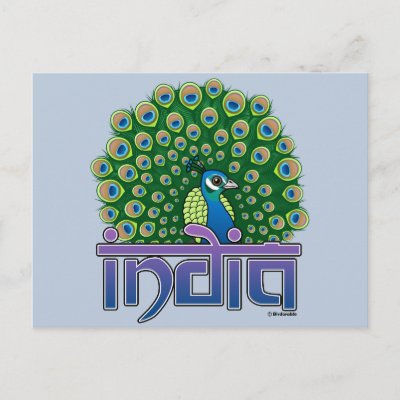 Peafowl of India Postcard