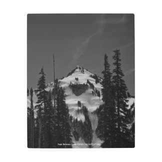 Peak Between Trees Metal Print