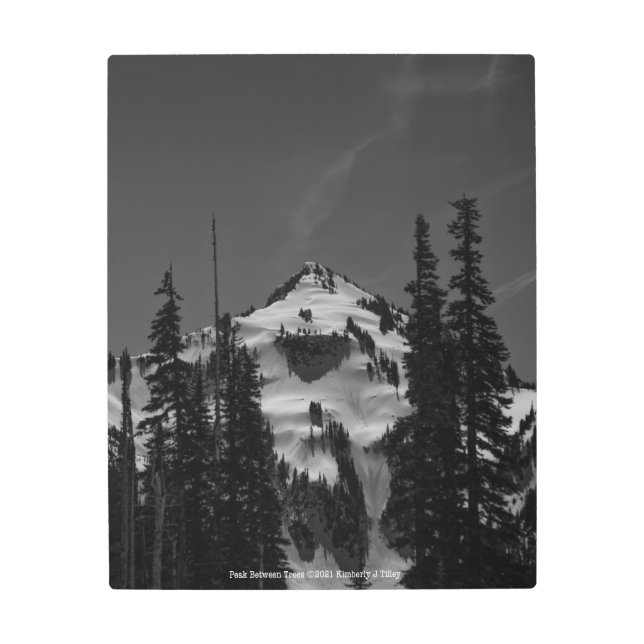 Peak Between Trees Metal Print (Front)