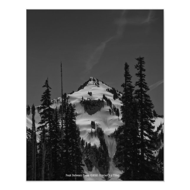 Peak Between Trees Photo Print (Front)