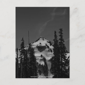 Peak Between Trees Postcard