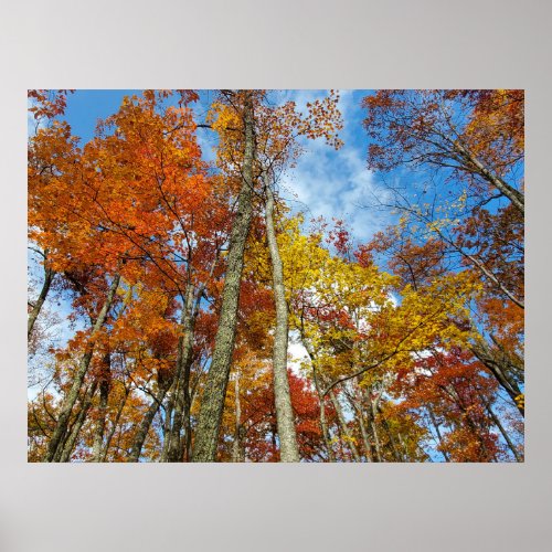 Peak Fall Leaves Forest Poster