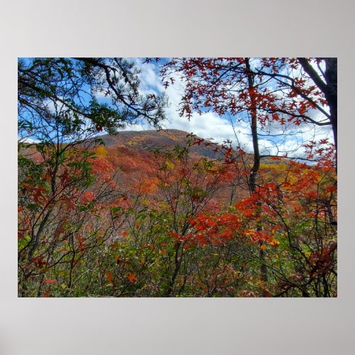 Peak Fall Leaves on a Mountain Poster