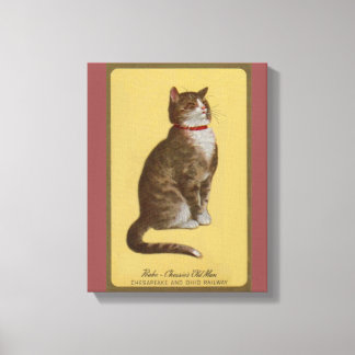 Peake, Chessie’s Old Man tomcat tabby cat Canvas Print