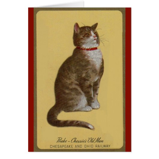 Peake, Chessie’s Old Man tomcat tabby cat Cards (Front)