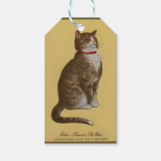 Peake, Chessie’s Old Man tomcat tabby cat Gift Tags