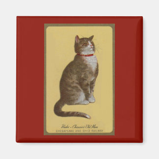 Peake, Chessie’s Old Man tomcat tabby cat Magnet