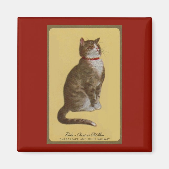 Peake, Chessie’s Old Man tomcat tabby cat Magnet (Front)