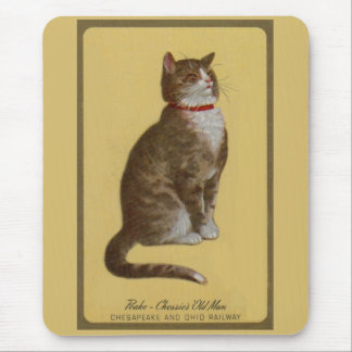 Peake, Chessie’s Old Man tomcat tabby cat Mouse Pad