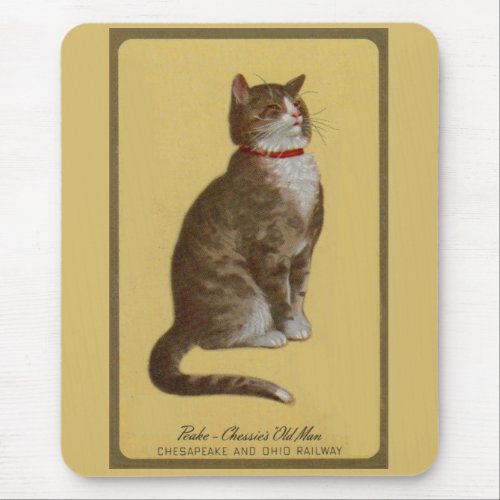 Peake Chessies Old Man tomcat tabby cat Mouse Pad
