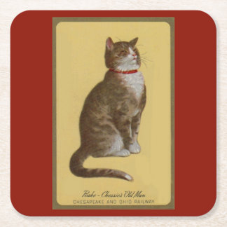 Peake, Chessie’s Old Man tomcat tabby cat Square Paper Coaster