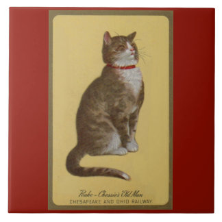Peake, Chessie’s Old Man tomcat tabby cat Tile