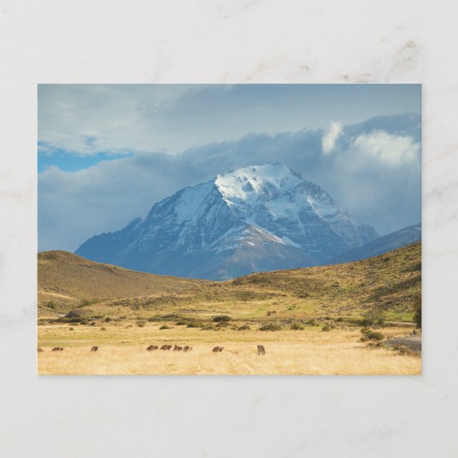 Peaks of Mountains in Torres del Plains Postcard (Front)